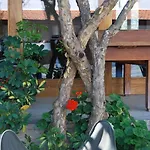 Quinta De Tourais Lamego