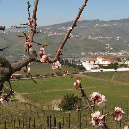 Quinta De Tourais