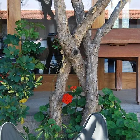 Quinta De Tourais Lamego