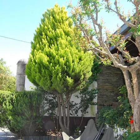 Quinta De Tourais Affittacamere Lamego
