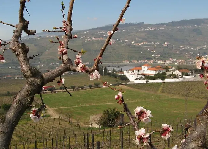 Quinta De Tourais