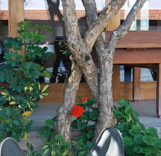 Quinta De Tourais Lamego