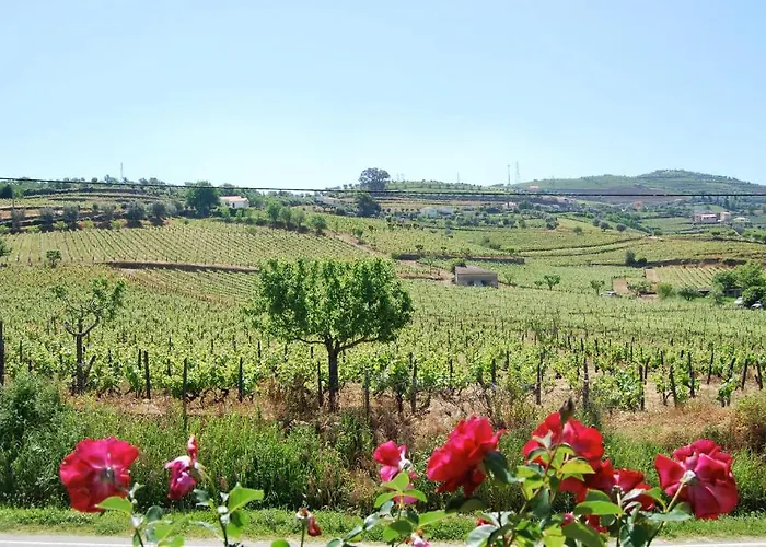 Guest house Quinta De Tourais