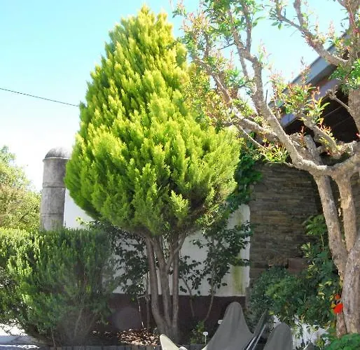 Quinta De Tourais Gasthuis Lamego