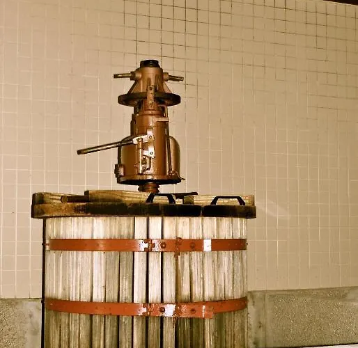 Quinta De Tourais Guest house *